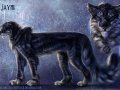 jayme___me_as_siderian_by_blackmystica-da3jpvo.jpg
